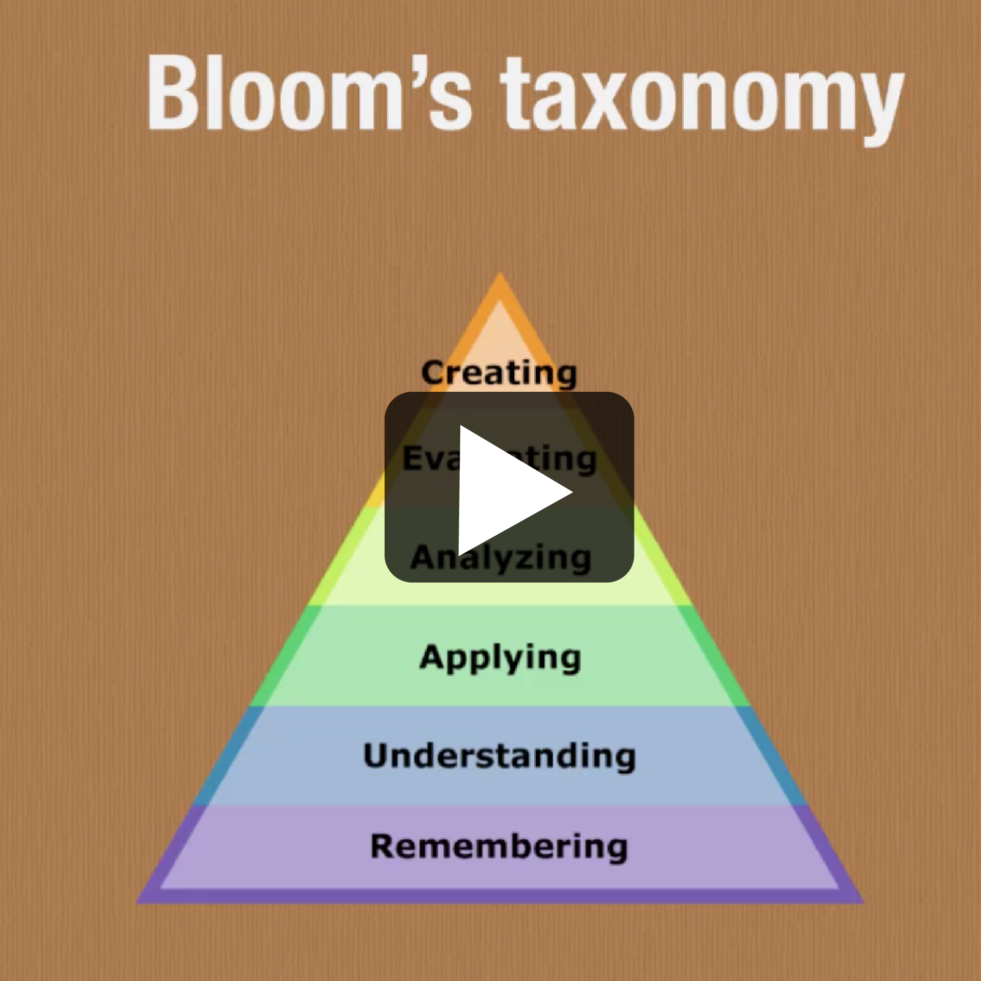 image for bloom's video
